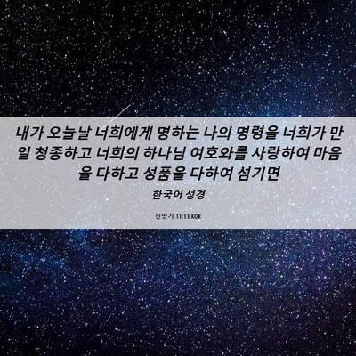 Picture 06 - 신명기 11:13 KOR - 내가 오늘날 너희에게 명하는 나의 - Bible Verse Picture