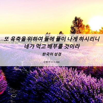 Picture 06 - 신명기 11:15 KOR - 또 육축을 위하여 들에 풀이 나게 - Bible Verse Picture