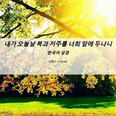 Picture 06 - 신명기 11:26 KOR - 내가 오늘날 복과 저주를 너희 앞에 - Bible Verse Picture