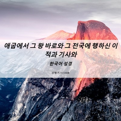 Picture 06 - 신명기 11:3 KOR - 애굽에서 그 왕 바로와 그 전국에 - Bible Verse Picture