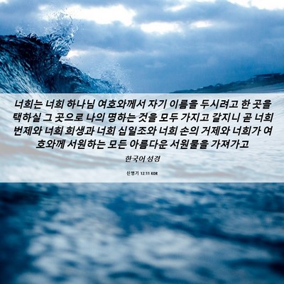 Picture 06 - 신명기 12:11 KOR - 너희는 너희 하나님 여호와께서 자기 - Bible Verse Picture