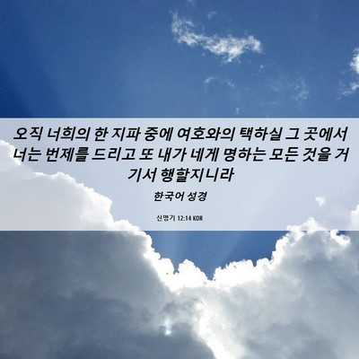 Picture 06 - 신명기 12:14 KOR - 오직 너희의 한 지파 중에 여호와의 - Bible Verse Picture