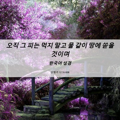 Picture 06 - 신명기 12:16 KOR - 오직 그 피는 먹지 말고 물 같이 땅에 - Bible Verse Picture