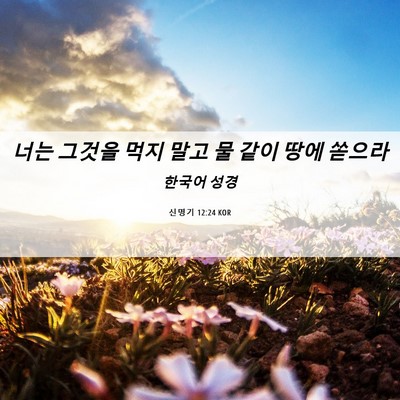 Picture 06 - 신명기 12:24 KOR - 너는 그것을 먹지 말고 물 같이 땅에 - Bible Verse Picture