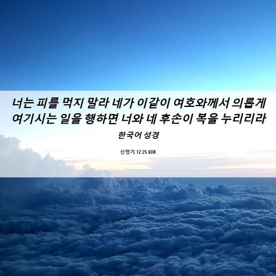 Picture 06 - 신명기 12:25 KOR - 너는 피를 먹지 말라 네가 이같이 - Bible Verse Picture
