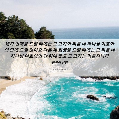 Picture 06 - 신명기 12:27 KOR - 네가 번제를 드릴 때에는 그 고기와 - Bible Verse Picture