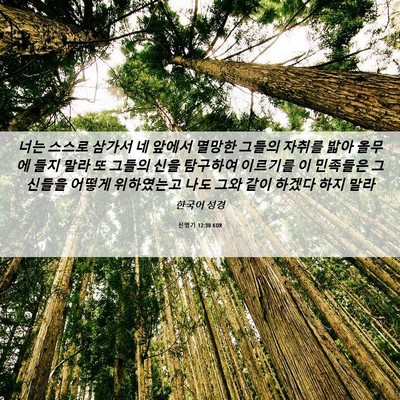 Picture 06 - 신명기 12:30 KOR - 너는 스스로 삼가서 네 앞에서 - Bible Verse Picture