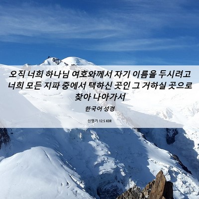 Picture 06 - 신명기 12:5 KOR - 오직 너희 하나님 여호와께서 자기 - Bible Verse Picture