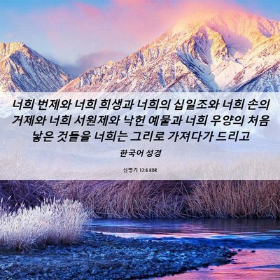 Picture 06 - 신명기 12:6 KOR - 너희 번제와 너희 희생과 너희의 - Bible Verse Picture