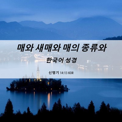 Picture 06 - 신명기 14:13 KOR - 매와 새매와 매의 - Bible Verse Picture