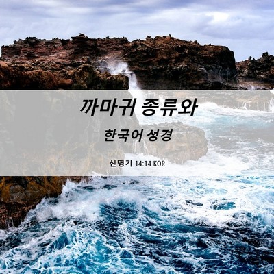 Picture 06 - 신명기 14:14 KOR - 까마귀 - Bible Verse Picture