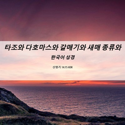 Picture 06 - 신명기 14:15 KOR - 타조와 다호마스와 갈매기와 새매 - Bible Verse Picture