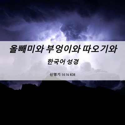 Picture 06 - 신명기 14:16 KOR - 올빼미와 부엉이와 - Bible Verse Picture