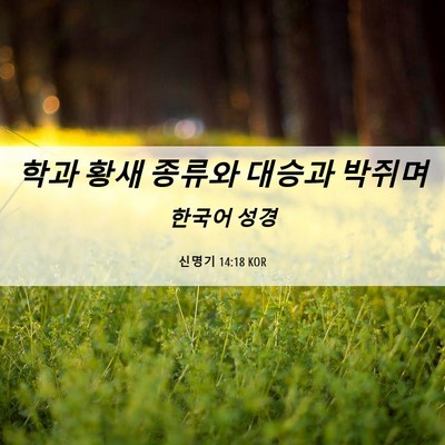 Picture 06 - 신명기 14:18 KOR - 학과 황새 종류와 대승과 - Bible Verse Picture