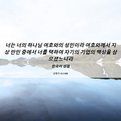 Picture 06 - 신명기 14:2 KOR - 너는 너의 하나님 여호와의 성민이라 - Bible Verse Picture