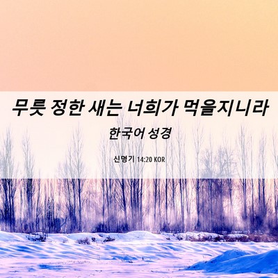 Picture 06 - 신명기 14:20 KOR - 무릇 정한 새는 너희가 - Bible Verse Picture