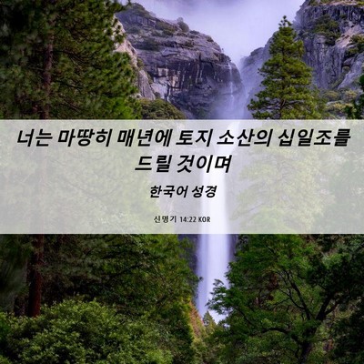 Picture 06 - 신명기 14:22 KOR - 너는 마땅히 매년에 토지 소산의 - Bible Verse Picture