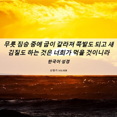 Picture 06 - 신명기 14:6 KOR - 무릇 짐승 중에 굽이 갈라져 쪽발도 - Bible Verse Picture