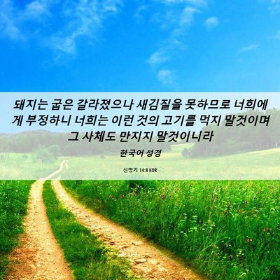 Picture 06 - 신명기 14:8 KOR - 돼지는 굽은 갈라졌으나 새김질을 - Bible Verse Picture