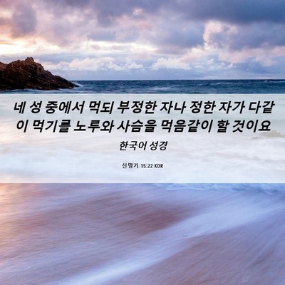 Picture 06 - 신명기 15:22 KOR - 네 성 중에서 먹되 부정한 자나 정한 - Bible Verse Picture