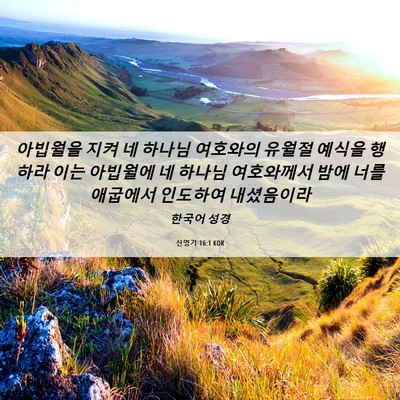 Picture 06 - 신명기 16:1 KOR - 아빕월을 지켜 네 하나님 여호와의 - Bible Verse Picture