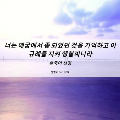 Picture 06 - 신명기 16:12 KOR - 너는 애굽에서 종 되었던 것을 - Bible Verse Picture