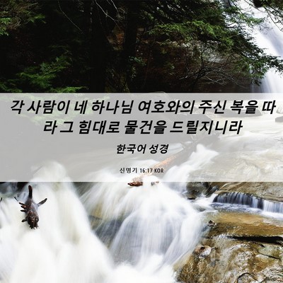 Picture 06 - 신명기 16:17 KOR - 각 사람이 네 하나님 여호와의 주신 - Bible Verse Picture