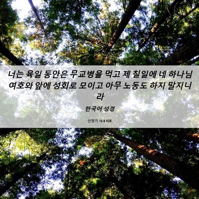 Picture 06 - 신명기 16:8 KOR - 너는 육일 동안은 무교병을 먹고 제 - Bible Verse Picture