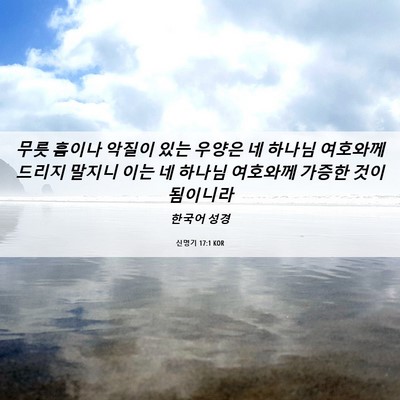 Picture 06 - 신명기 17:1 KOR - 무릇 흠이나 악질이 있는 우양은 네 - Bible Verse Picture