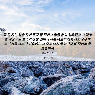 Picture 06 - 신명기 17:16 KOR - 왕 된 자는 말을 많이 두지 말 것이요 - Bible Verse Picture