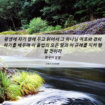 Picture 06 - 신명기 17:19 KOR - 평생에 자기 옆에 두고 읽어서 그 - Bible Verse Picture