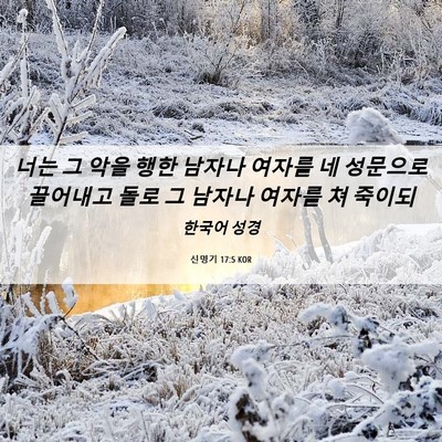 Picture 06 - 신명기 17:5 KOR - 너는 그 악을 행한 남자나 여자를 네 - Bible Verse Picture