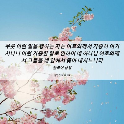 Picture 06 - 신명기 18:12 KOR - 무릇 이런 일을 행하는 자는 - Bible Verse Picture