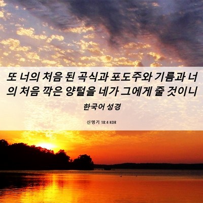 Picture 06 - 신명기 18:4 KOR - 또 너의 처음 된 곡식과 포도주와 - Bible Verse Picture