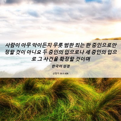 Picture 06 - 신명기 19:15 KOR - 사람이 아무 악이든지 무릇 범한 - Bible Verse Picture
