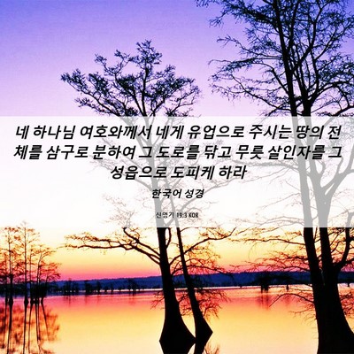 Picture 06 - 신명기 19:3 KOR - 네 하나님 여호와께서 네게 유업으로 - Bible Verse Picture