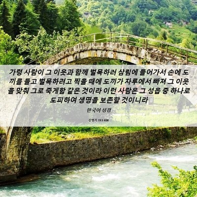 Picture 06 - 신명기 19:5 KOR - 가령 사람이 그 이웃과 함께 - Bible Verse Picture