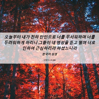 Picture 06 - 신명기 2:25 KOR - 오늘부터 내가 천하 만민으로 너를 - Bible Verse Picture