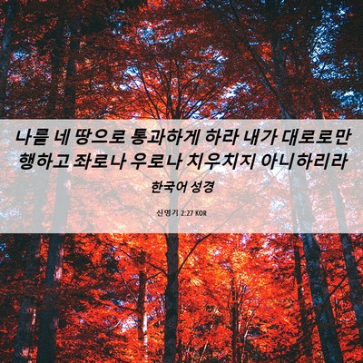 Picture 06 - 신명기 2:27 KOR - 나를 네 땅으로 통과하게 하라 내가 - Bible Verse Picture