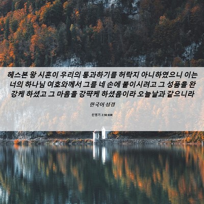 Picture 06 - 신명기 2:30 KOR - 헤스본 왕 시혼이 우리의 통과하기를 - Bible Verse Picture
