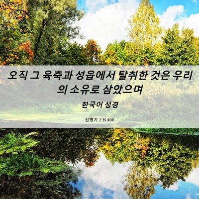 Picture 06 - 신명기 2:35 KOR - 오직 그 육축과 성읍에서 탈취한 - Bible Verse Picture