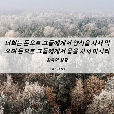 Picture 06 - 신명기 2:6 KOR - 너희는 돈으로 그들에게서 양식을 - Bible Verse Picture