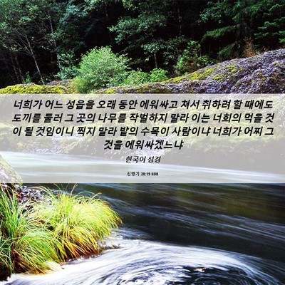 Picture 06 - 신명기 20:19 KOR - 너희가 어느 성읍을 오래 동안 - Bible Verse Picture