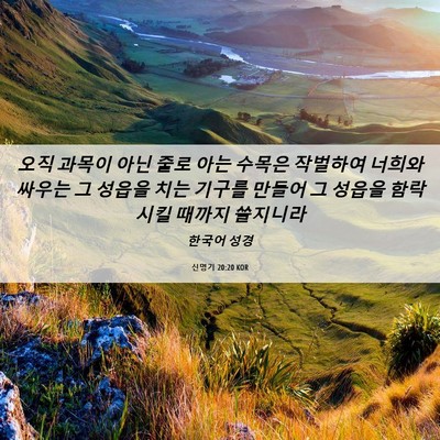 Picture 06 - 신명기 20:20 KOR - 오직 과목이 아닌 줄로 아는 수목은 - Bible Verse Picture