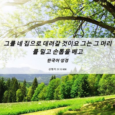 Picture 06 - 신명기 21:12 KOR - 그를 네 집으로 데려갈 것이요 그는 - Bible Verse Picture