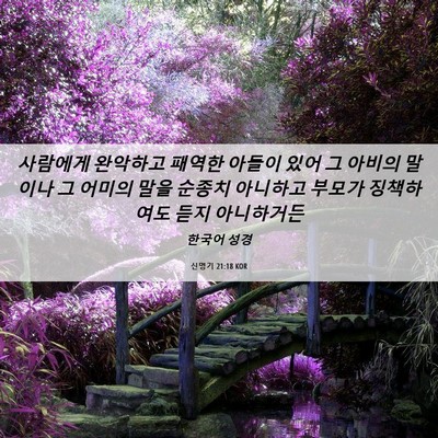 Picture 06 - 신명기 21:18 KOR - 사람에게 완악하고 패역한 아들이 - Bible Verse Picture