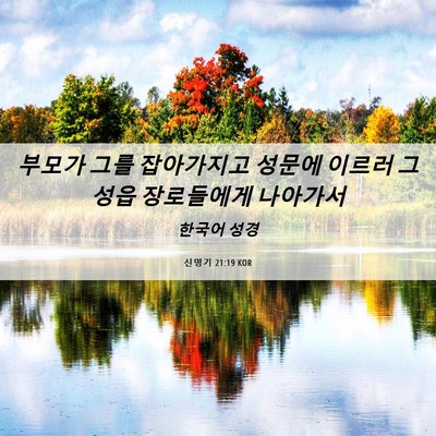 Picture 06 - 신명기 21:19 KOR - 부모가 그를 잡아가지고 성문에 - Bible Verse Picture