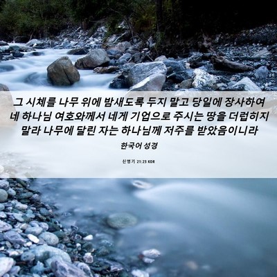 Picture 06 - 신명기 21:23 KOR - 그 시체를 나무 위에 밤새도록 두지 - Bible Verse Picture