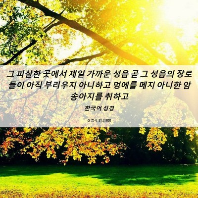 Picture 06 - 신명기 21:3 KOR - 그 피살한 곳에서 제일 가까운 성읍 - Bible Verse Picture