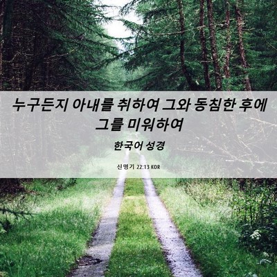 Picture 06 - 신명기 22:13 KOR - 누구든지 아내를 취하여 그와 동침한 - Bible Verse Picture